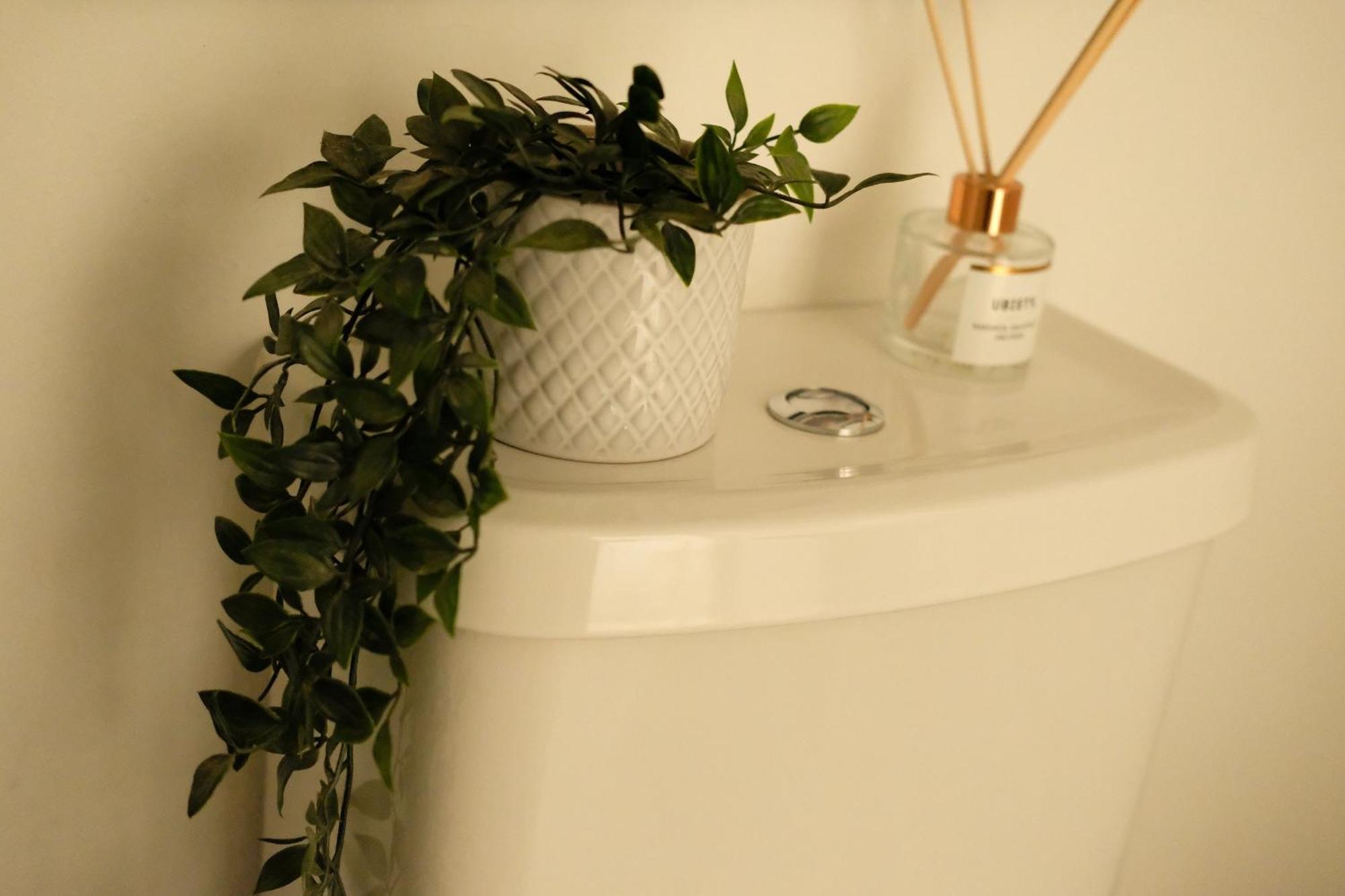 Spacious City Centre Apartment Bath Zewnętrze zdjęcie